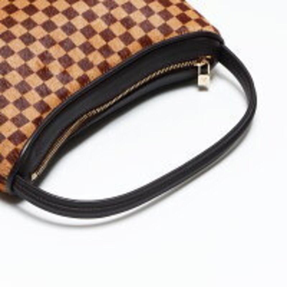 LOUIS VUITTON Damier Sauvage Tiger Handbag Brown - Picture 12 of 12